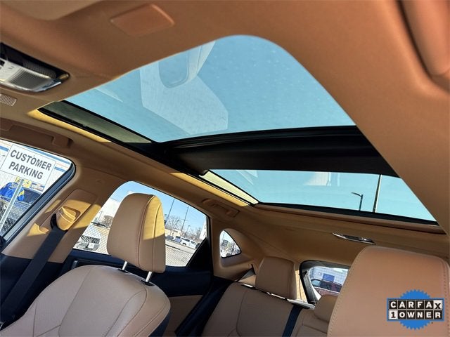 2025 Lexus NX NX 350 Luxury