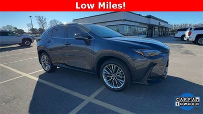 2025 Lexus NX NX 350 Luxury