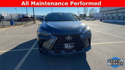 2025 Lexus NX NX 350 Luxury