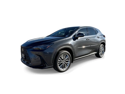 2025 Lexus NX NX 350 Luxury