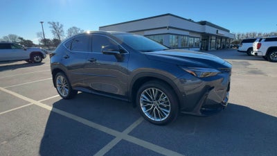 2025 Lexus NX NX 350 Luxury