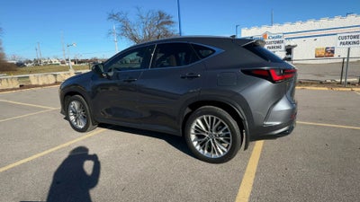 2025 Lexus NX NX 350 Luxury