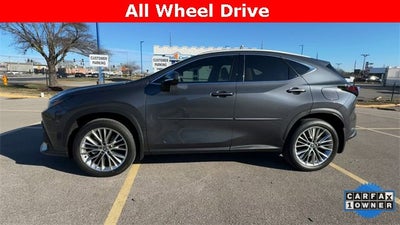 2025 Lexus NX NX 350 Luxury
