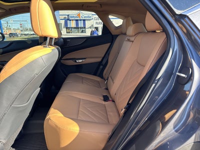 2025 Lexus NX NX 350 Luxury