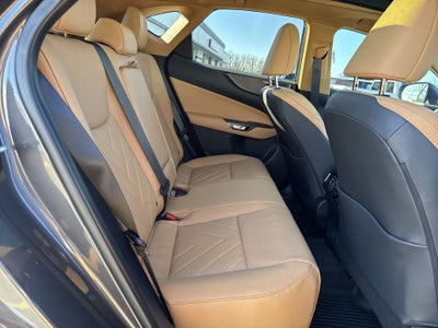 2025 Lexus NX NX 350 Luxury